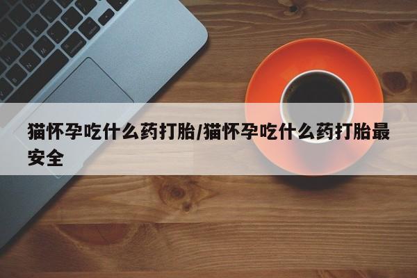 打胎药专卖微信联系方式亲测有效!猫怀孕吃什么药打胎/猫怀孕吃什么药打胎最安全