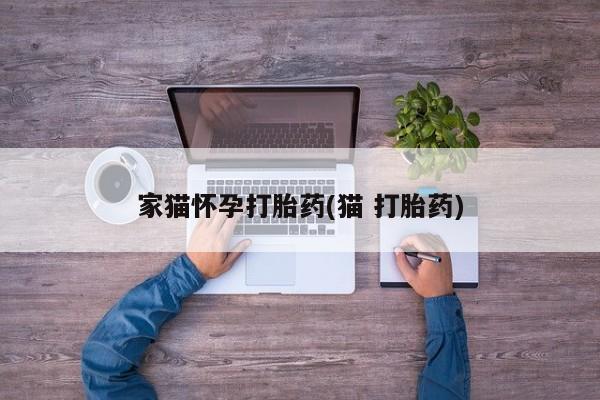 打胎药专卖微信联系方式亲测有效!家猫怀孕打胎药(猫 打胎药)